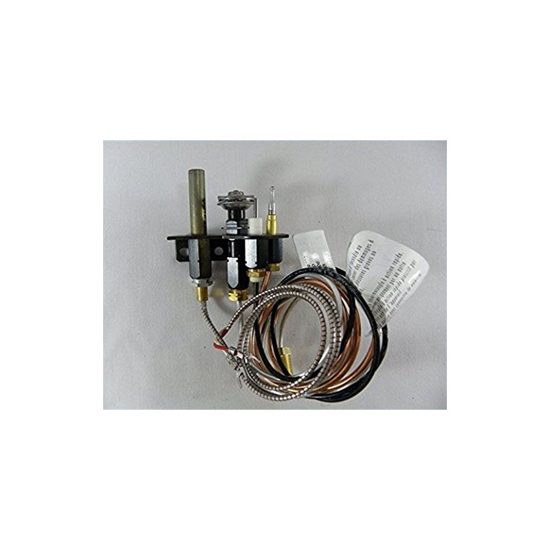 Napoleon Propane Gas Pilot Assembly for Direct Vent Fireplaces WS-100-39