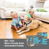 ZingZap 13-Pack Mouse & Insect Glue Traps/Board, 3X Faster Catch