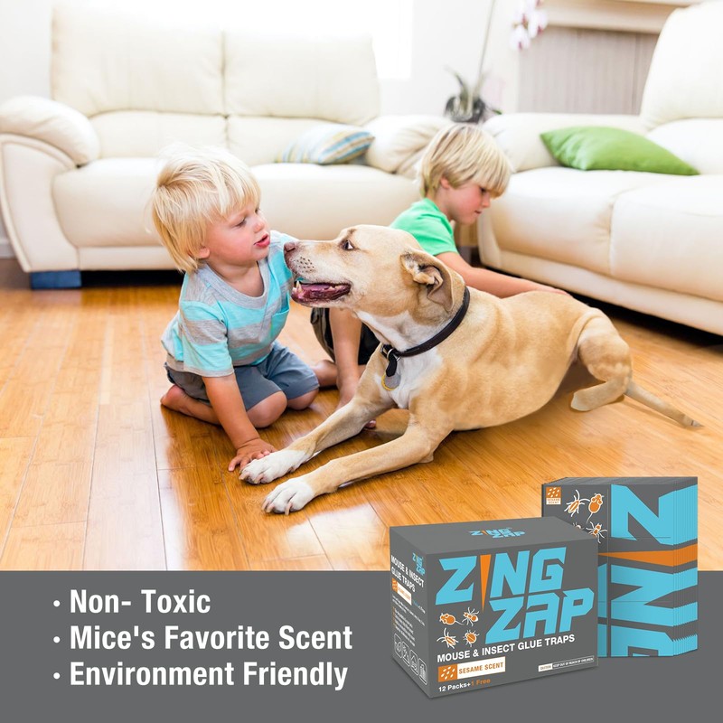 ZingZap 13-Pack Mouse & Insect Glue Traps/Board, 3X Faster Catch