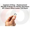 Fuel Tool EFI Check Valve Lower O-Ring - MC200-5