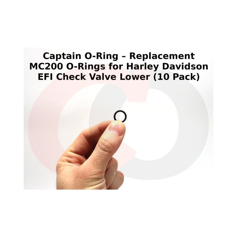 Fuel Tool EFI Check Valve Lower O-Ring - MC200-5