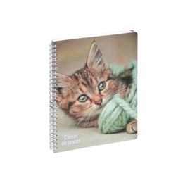 EXACOMPTA - 999169E - Animal Notebook - 17 x 22 cm - Cat Design