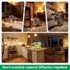 36-Pack Natural Peppermint Mouse Repellent Pouches