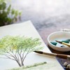 Maruman S31VA vifArt Watercolor Paper Sketchpad, SM, Fine Grain