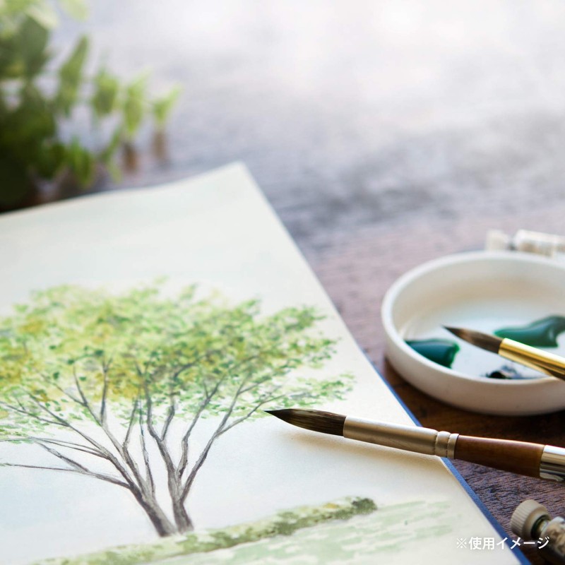 Maruman S31VA vifArt Watercolor Paper Sketchpad, SM, Fine Grain