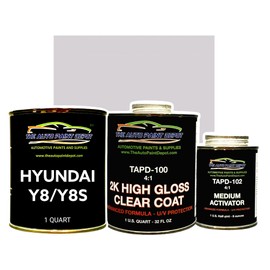 Auto Paint Depot Touch Up Paint for Hyundai Elantra,Sonata-Symphony Silver Y8 (All Years)