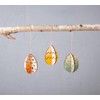 Rayher Wooden Easter Eggs, 3D Effect, Set of 3, 5.5
