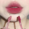 Cuidado Facial Labial Mate Maquillaje Natural Nude Oso F