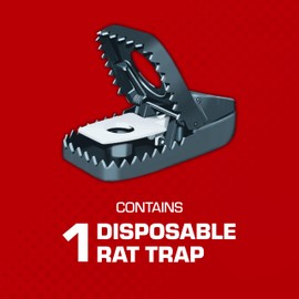 Tomcat Secure-Kill Rat Trap, Features Aggressive Secure Catch Design to Trap and Kill, 2 Traps