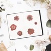 Cosmeria Floral-Themed Rub-On Sticker Set, Over 500 Designs on 36