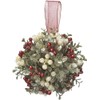 Kissing Krystals 5in Mistletoe Ornament - Acrylic - Holly Kissed
