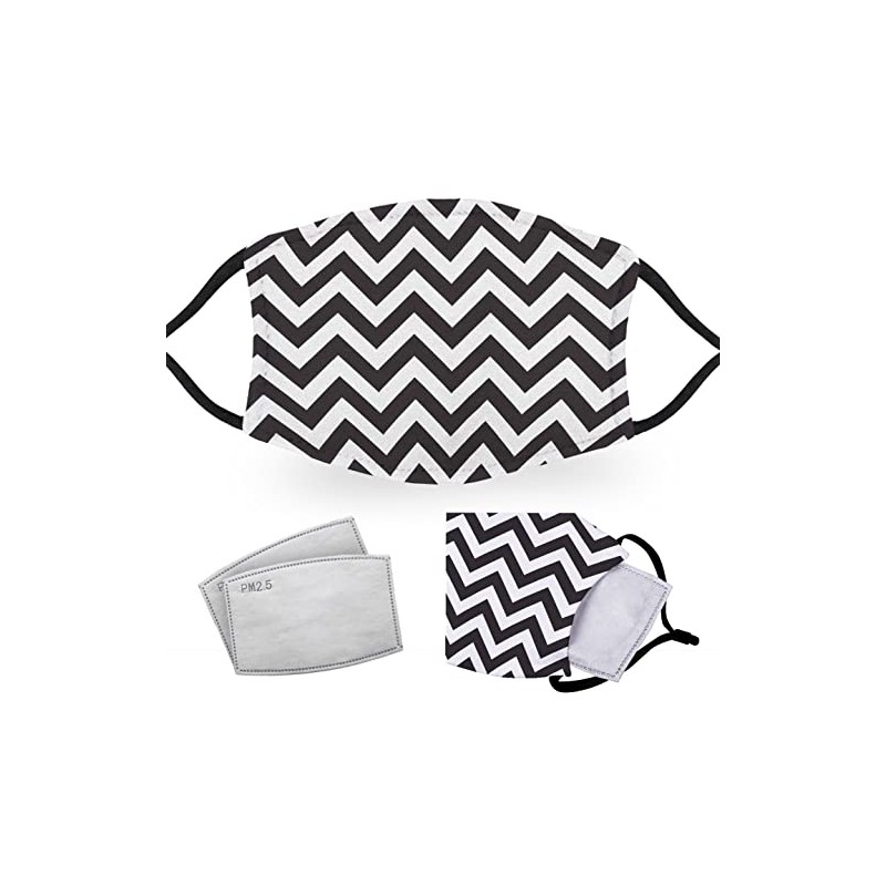 Chevron - Reusable Adult Face Masks - 2 Filters Included