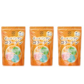 オールインワンコラーゲン 4種の美肌成分 低分子 コラーゲンペプチド セラミド エラスチン ビタミンC 粉末 パウダー collagen 120g 3個