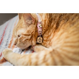Gold Tombstone Bat Microchipped Mini ID Pet Tag Charm, Cat and Dog Micro Chipped Pet ID, Pet Collard Tag, I Am Lost Help Tag For Pets, Lost Pet Dog Cat ID Tag
