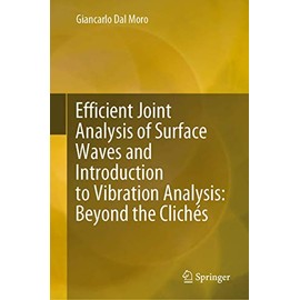 Efficient Joint Analysis of Surface Waves and Introduction to Vibration Analysis: Beyond the Clichés: Beyond the Clichés