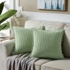 Fancy Homi Pack of 2 Sage Green Decorative Throw Pillow