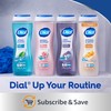 Dial Body Wash, Silk & Magnolia, 23 fl oz (Pack