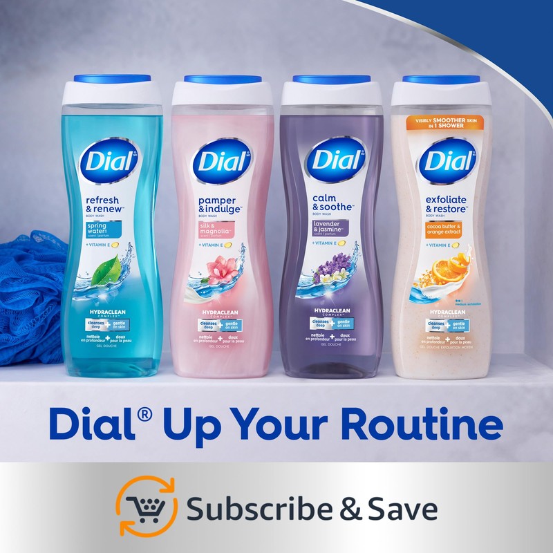 Dial Body Wash, Silk & Magnolia, 23 fl oz (Pack
