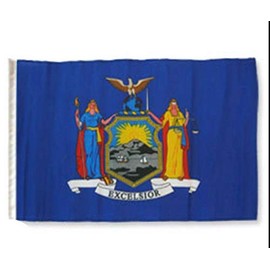 JumpingLight 12x18 12"x18" State of New York Sleeve Flag Boat Car Garden - Quality Flags