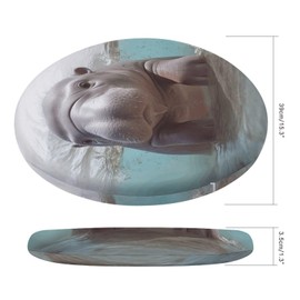 JTKLQDH Cute Round Cushions,Cute Hippo Print Slow Rebound Round Cushions,Outdoor Single Cushions,Portable Cushions