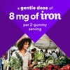 Vitafusion Iron Gummy Vitamin Supplement, Supports Red Blood Cell Production*,