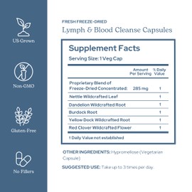 Eclectic Herb - Lymph & Blood Cleanse | Lymphatic & Circulatory Support | Freeze Dried, Concentrated Herbal Supplement | Natural, Wildcrafted, Non-GMO, Gluten Free, Vegan (45 CT | 285 mg)