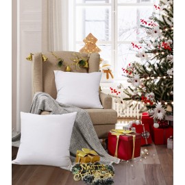 Blue Ridge Home Fashions, 26x26 Feather Euro (2 Pack),Hypoallergenic European Sleep Pillow Inserts Sham Square Form, White