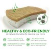 Biodegradable Natural Kitchen Sponge - Compostable Cellulose and Coconut Walnut