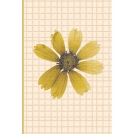Minimalist Sunflower Ruled Notebook – Beige Grid Cover, 120 Pages (6” x 9”): Elegant 6x9 Floral Journal with Soft Grid Background | Aesthetic Notebook ... & Gift Giving | 120 College Ruled Pages