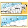 Apagard Premio Toothpaste 100g, Nanohydroxyapatite Remineralizing Teeth Whitening Xylitol