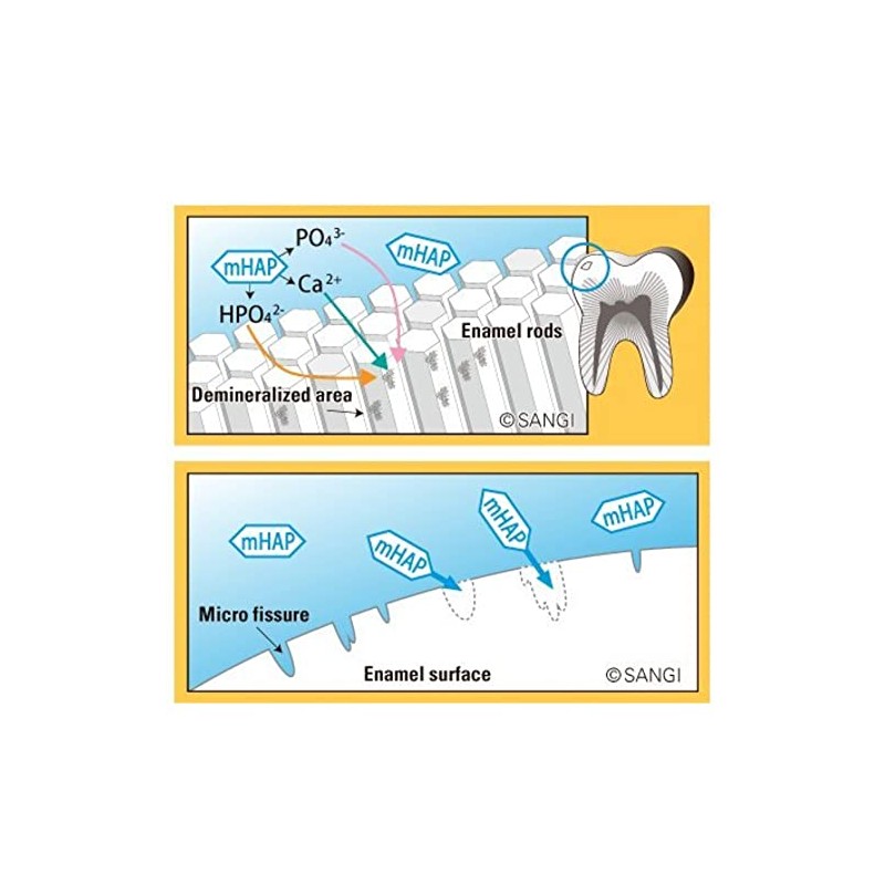 Apagard Premio Toothpaste 100g, Nanohydroxyapatite Remineralizing Teeth Whitening Xylitol