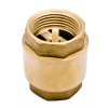 DuraChoice 3/4" Brass In-Line Spring Check Valve - 200WOG