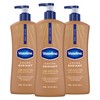 Vaseline Intensive Care Body Lotion Cocoa Radiant 3 count for