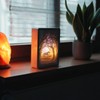 CIM 3D Papercut Lightbox - RECTANGLE Unicorn - Dimensions: 16
