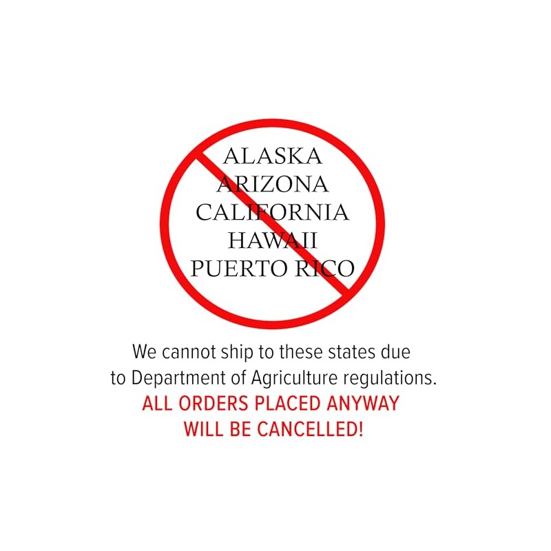 The Japanese Red Maple, Award Winning, Vibrant Leaves, 7 gal,