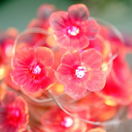 Cherry Blossom Fairy String Lights Sakura Pink Flower Decorative Lights Modern Décor 10ft 30LEDs with Timer Remote Control for Bedroom Floral Garland Centerpieces