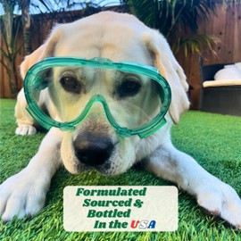 DozzlePets FoamZyme - 32oz Outdoor Pet Odor Eliminator, Safe in Pet & Family Areas, All-Natural Ingredients, Designed for use with Poozooka, Made in USA