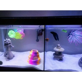 Jax Racks Top Fin 5 Gallon Fish Tank Divider ( No Suction Cups Required) - black