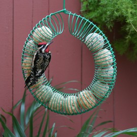 Pacific Bird & Supply Co Woodpecker Suet Balls (12 Pack)