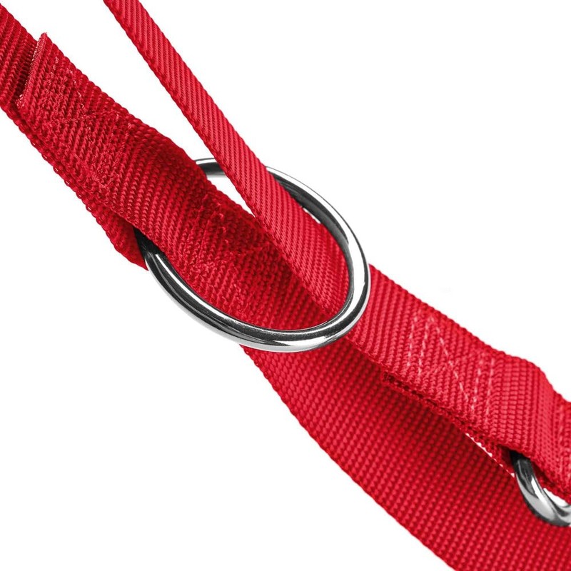 HUNTER London Adjustable Lead 15/200 Red