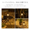 Takeda Corporation META-165 Garden Solar Light Light, Black, 5.5 x