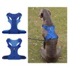 Heavy Duty Dog Harness, No Pull Design, Adjustable with D-Rings,