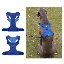 Heavy Duty Dog Harness, No Pull Design, Adjustable with D-Rings, Oxford Material, Black (Blue, Small)