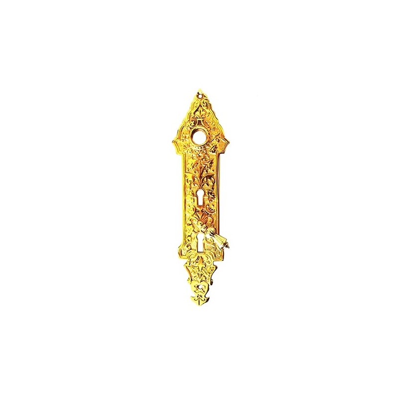 Pair of Solid Brass Double Swivel Escutcheon Door Plates The