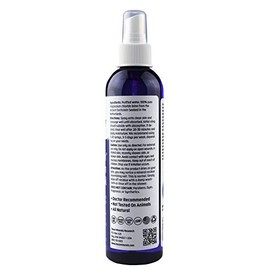 Pure Magnesium Oil Trace Minerals 240ml Oil