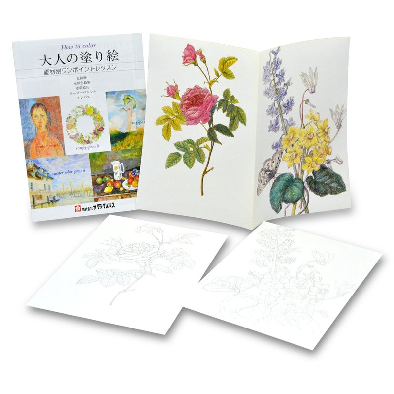 Sakura Coupy - Pencil Pastel Crayons, set