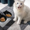 Raised Feeding Bowl, Cat Bowl, Tilted Cat Bowl, Raised Double