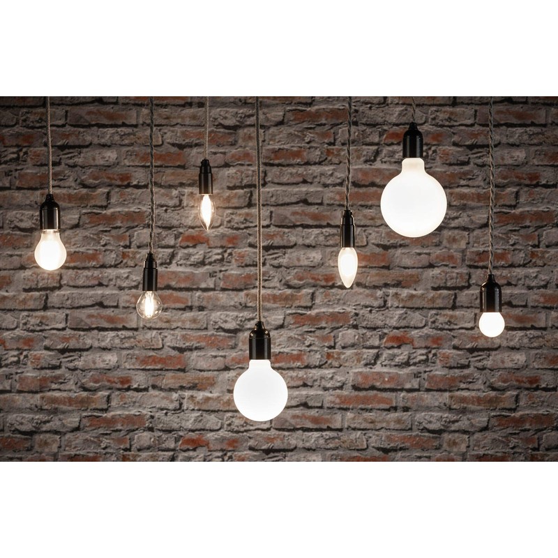Paulmann 28701 LED Filament Globe Lamp, 7.5 W, Dimmable Opal