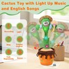 Dancing Cactus Toys,Talking Mimicking Singing Repeats What You Say:_Bearded Cactus