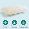 Kiss Dream 100% Talalay Natural Latex Sleeping Pillow, Soft Standard